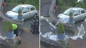 ▲外送食物被海鷗吃光光。（圖／翻攝自推特）