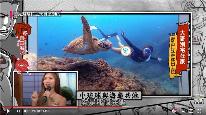 正妹潛水穿「小丁」　海龜竟一路緊跟
