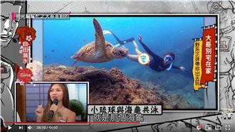 正妹潛水穿「小丁」　海龜竟一路緊跟