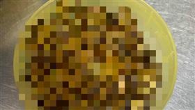 補果蠅成果（圖／翻攝自我愛全聯-好物老實説臉書）