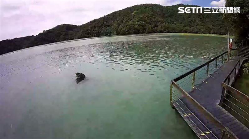 日月潭逼近滿水位　九蛙剩兩隻浮水面
