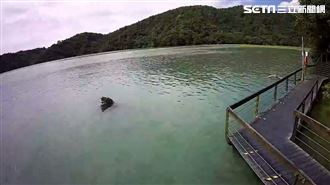 日月潭逼近滿水位　九蛙剩兩隻浮水面