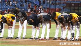 中信兄弟輸球。（圖／記者林聖凱攝影）