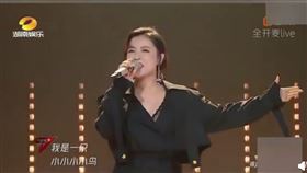 （圖／翻攝自微博）中國,乘風破浪的姐姐,丁噹,低分,杜華