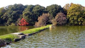 日本奈良，古市古墳群，荷內大塚山古墳遭挖走陶器。（圖／翻攝自維基百科）