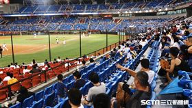 桃園棒球場球迷在觀眾席熱情加油，啦啦隊女孩。（圖／記者林聖凱攝影）