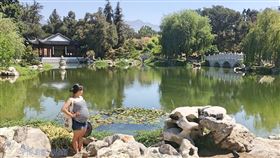 　名家專用／草根影響力新視野（勿用）