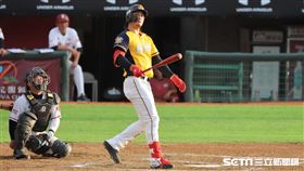 ▲中信兄弟外野手張志豪。（圖／記者劉彥池攝影）