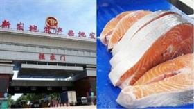 北京新發地批發市場，鮭魚，組合圖