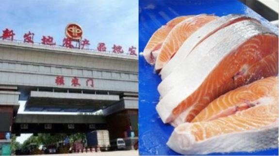 陸媒：病毒不怕冷！遭專家還原打臉…