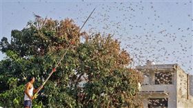 名家專用／草根影響力新視野（勿用）