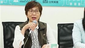 民眾黨立委蔡壁如。（圖／民眾黨提供）