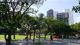 都市翻轉的推手　大通地產揮軍大台中