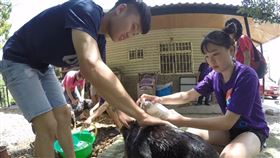 台北市青少年發展處,青少年,壯遊台灣,台北市,國中生,高中生,2萬元補助