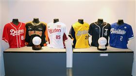 ▲甲子園歷史館展出中職五隊球衣、台灣犬球衣以及總統蔡英文簽名球、中職會長吳志揚簽名球（圖／中華職棒提供）