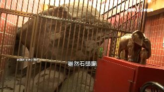 最古老的土地神！石頭信仰遍布全台