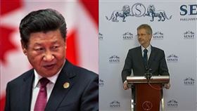 中華人民共和國國家主席習近平、捷克參議院議長維特齊（組合圖／資料照、翻攝臉書）