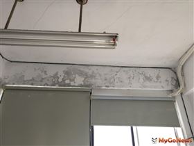 你住在「病態建築」嗎？室內空氣品質小故事（圖／資料照）