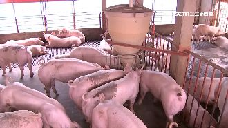 台灣口蹄疫疫區除名　3關鍵成功拔針