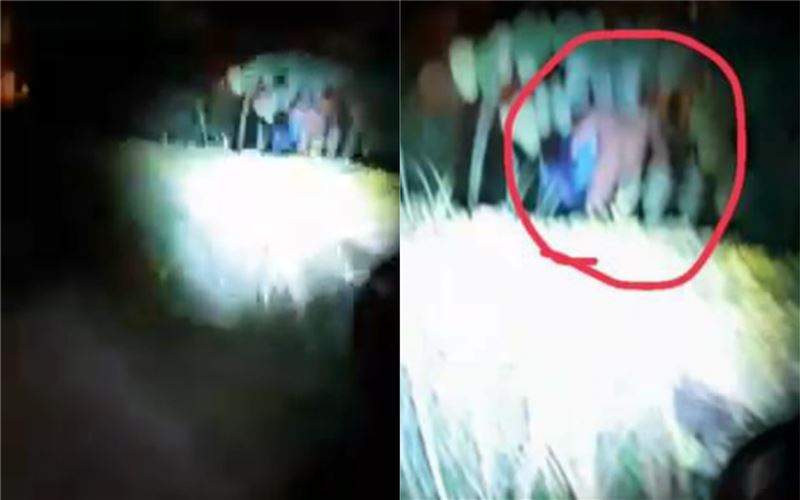 全裸男衝出打手槍　女1舉動對方縮了
