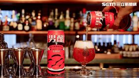 臺虎精釀,餞男醋女酸啤酒,金車噶瑪蘭,調酒,台啤特釀•向陽IGA,海尼根0.0零酒精