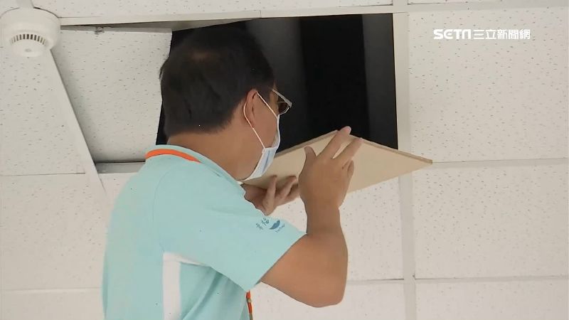 鳳辦鬧鼠患！高雄漢他5例全台最高