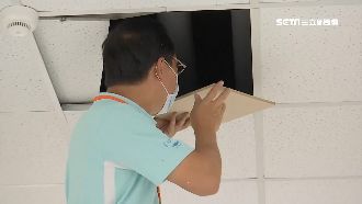 鳳辦鬧鼠患！高雄漢他5例全台最高