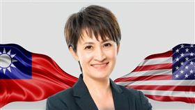 蕭美琴駐美，民進黨臉書貼文（圖／翻攝臉書）