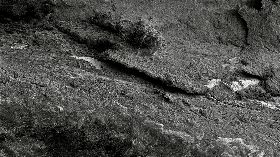 科技藝術跨界創作　微觀之城拼貼未來城