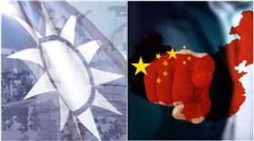 國民黨,翻攝自網路