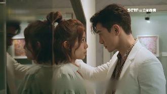 穿書劇夯！霸道總裁張立昂甜寵宋芸樺