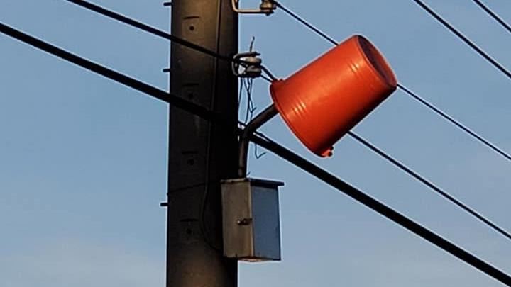 路燈為何蓋水桶？真相曝網喊惡劣