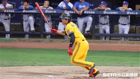 ▲中信兄弟外野手張志豪。（圖／記者劉彥池攝影）