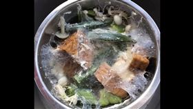 盤絲洞,暗黑料理,秋葵,電鍋,發霉,照片,驚悚