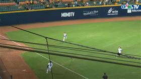 富邦悍將3位野手追球，球卻在另一邊掉下來。（圖／翻攝自CPBL TV ）