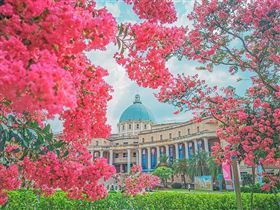 名家專用／台灣旅行趣（勿用）