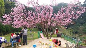 圖／翻攝自桃樂絲森林餐廳臉書