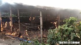 南投雞舍大火／翻攝畫面