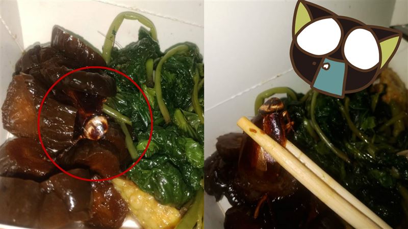 險吃蟑螂醬瓜堆…闆娘竟扯這句網怒了