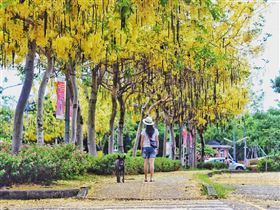 名家專用／台灣旅行趣（勿用）