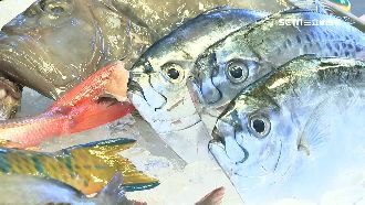 業者推三倍券優惠　吃喝玩樂花好花滿