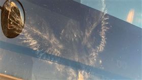 爆廢公社,鳥拓,雄鷹,高速公路