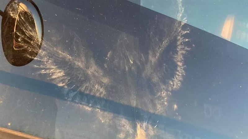 高速行駛撞到不明物　下車一看是名畫