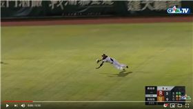 ▲陳傑憲魚躍式飛撲沒收陽耀勳安打。（圖／翻攝自CPBLTV）