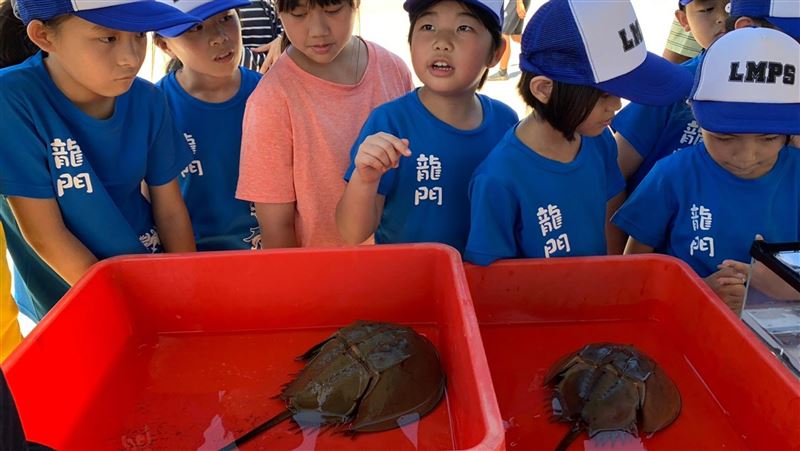 台電漁業保育　放流高經濟原生物種