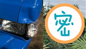 台東,車禍,水牛,牛群,肇事