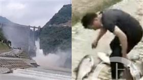 水庫洩洪！陸村民擠下游「搶撈大魚」（圖／翻攝自上游新聞）