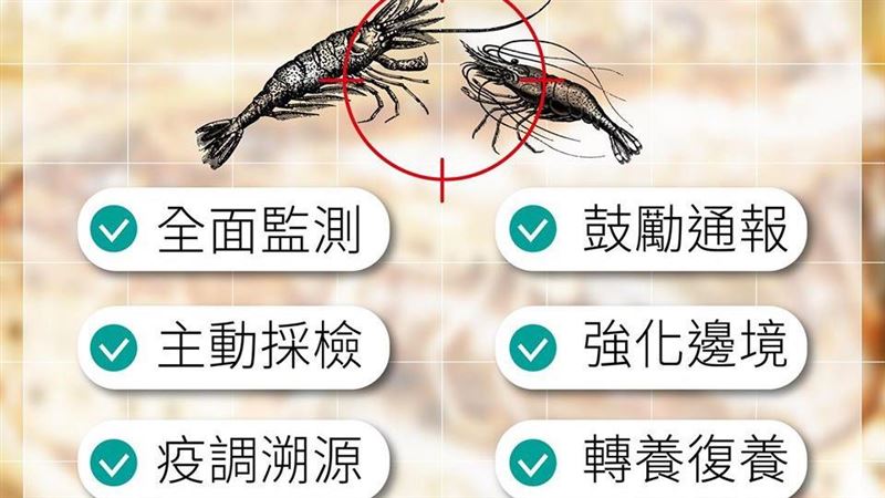 中國的十足目虹彩病毒　台灣這樣應對