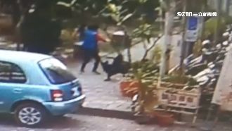 遛狗遭2惡犬狂咬　無辜女慘斷4顆牙