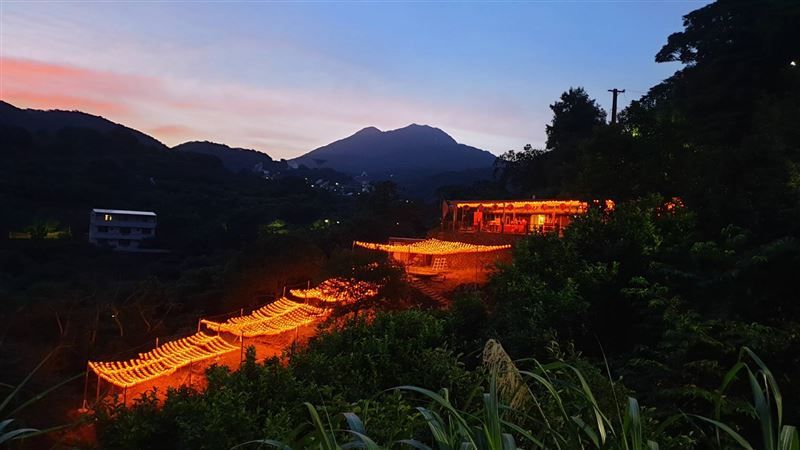 陽明山越夜越美麗　驚現「燈」天龍梯